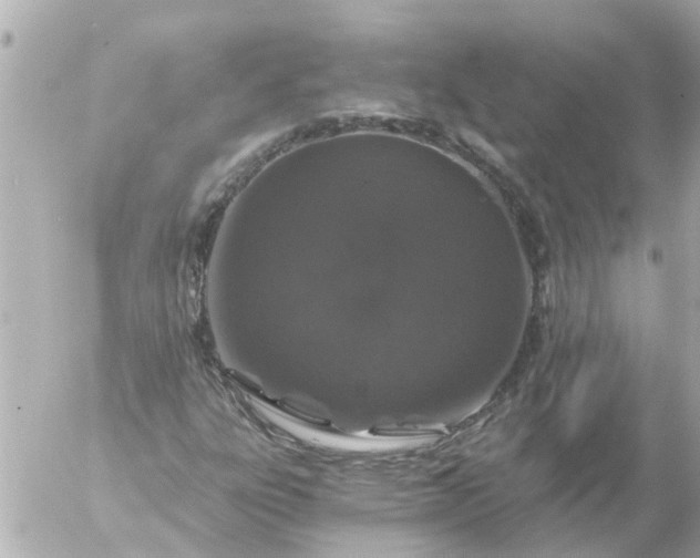 X0000056321303200509092252