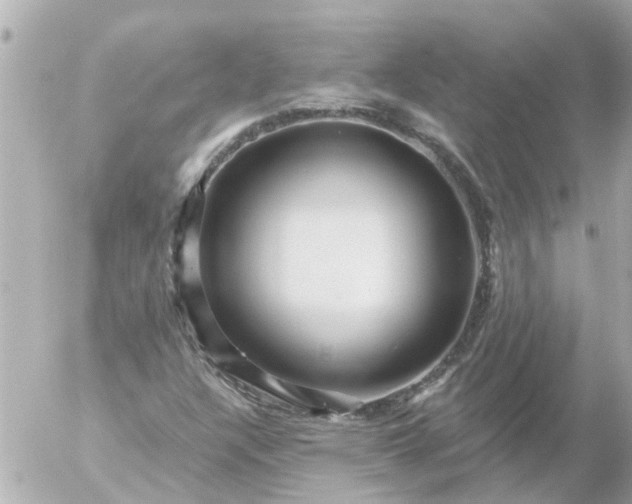 X0000056321304200509092252