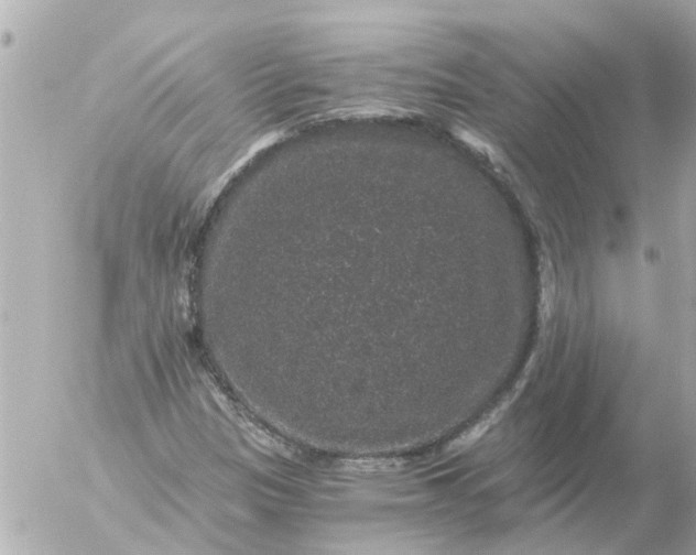 X0000056321305200509092252