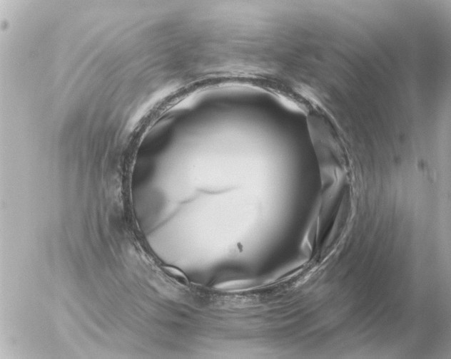 X0000056321307200509092252