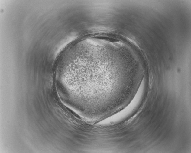 X0000056321309200509092252