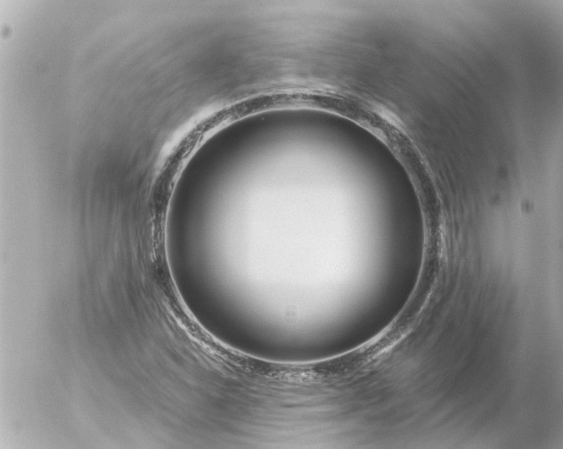 X0000056321310200509092252