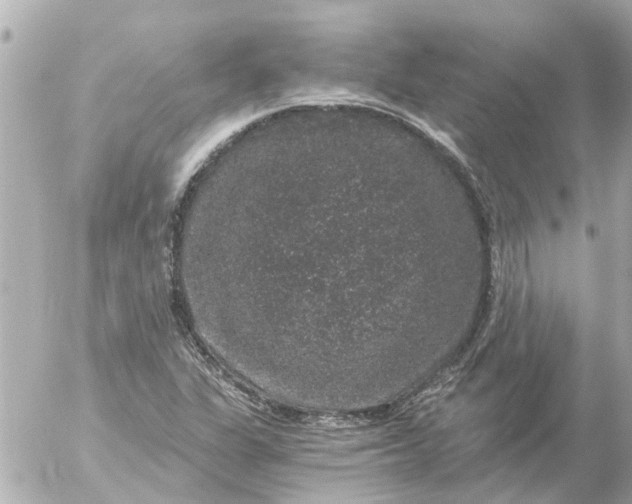 X0000056321311200509092252