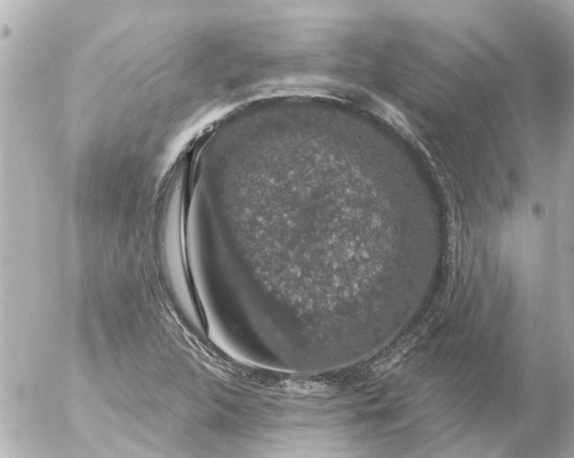 X0000056321312200509092252