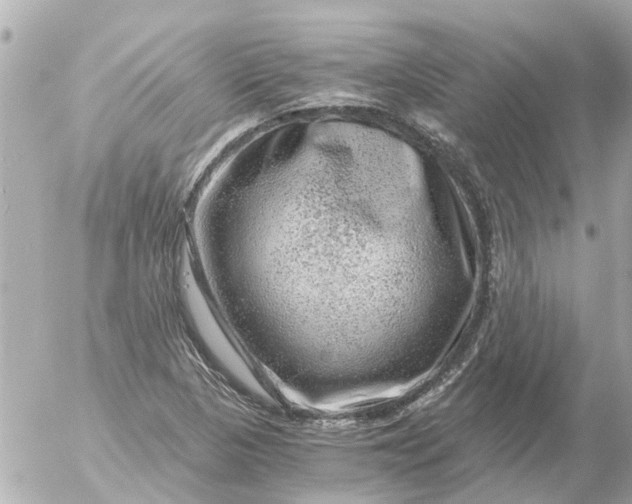 X0000056321313200509092252