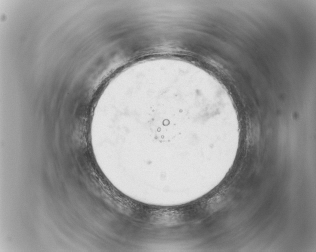 X0000056321314200509092252