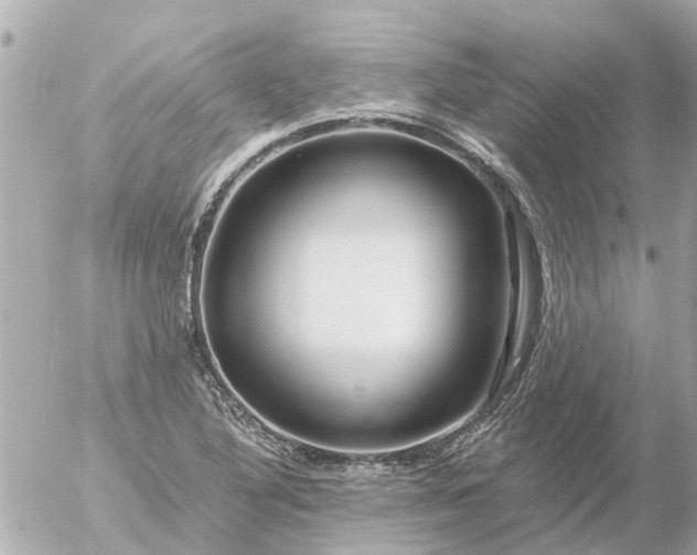 X0000056321316200509092252