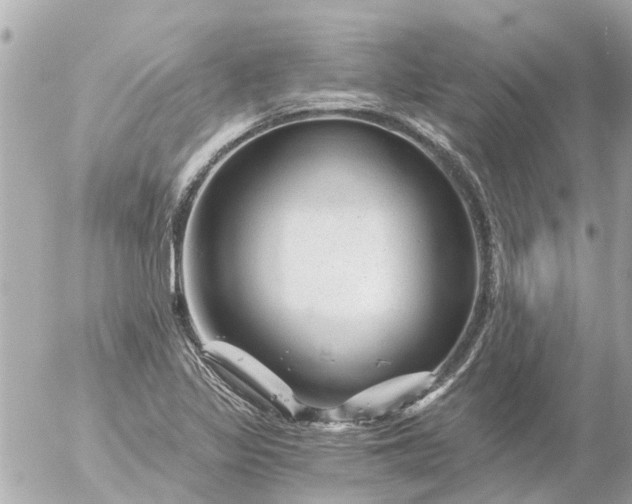 X0000056321317200509092252