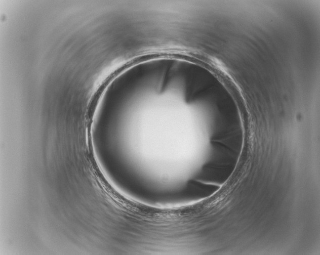 X0000056321320200509092252