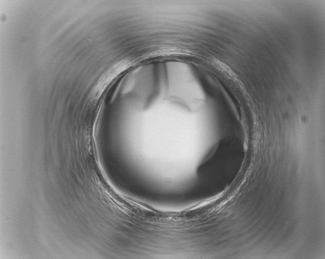 X0000056321321200509092252