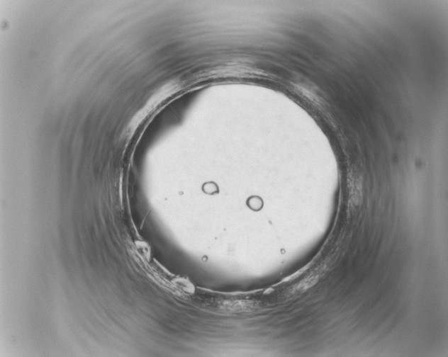 X0000056321322200509092252