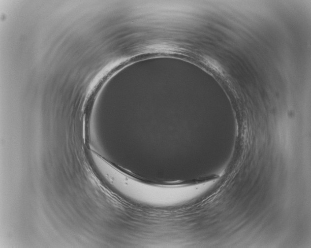 X0000056321323200509092253