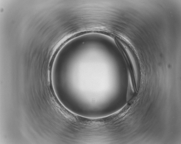 X0000056321324200509092253