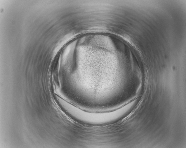 X0000056321325200509092253