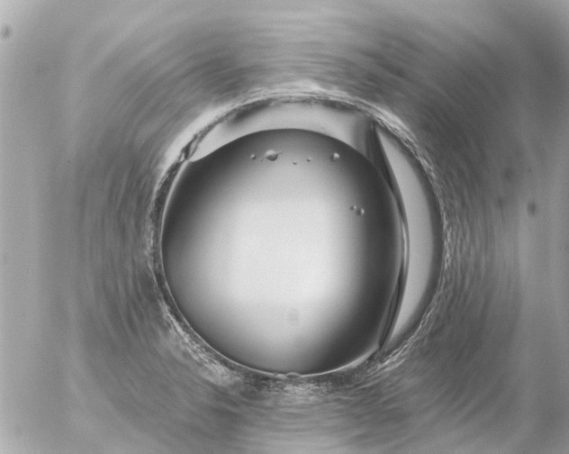 X0000056321326200509092253