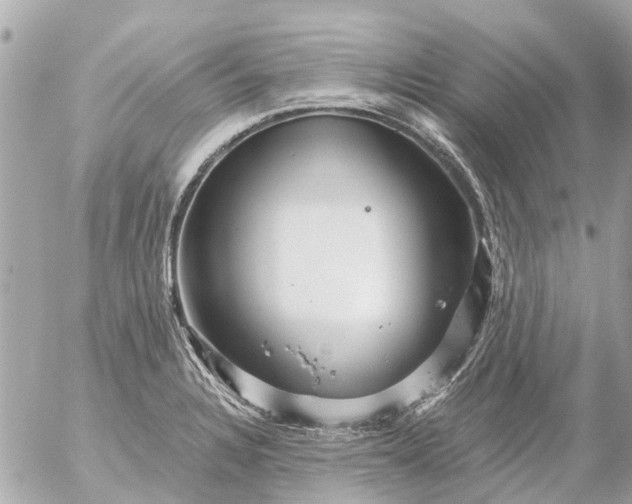 X0000056321328200509092253