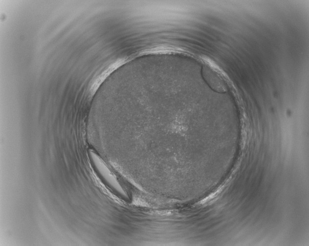 X0000056321329200509092253