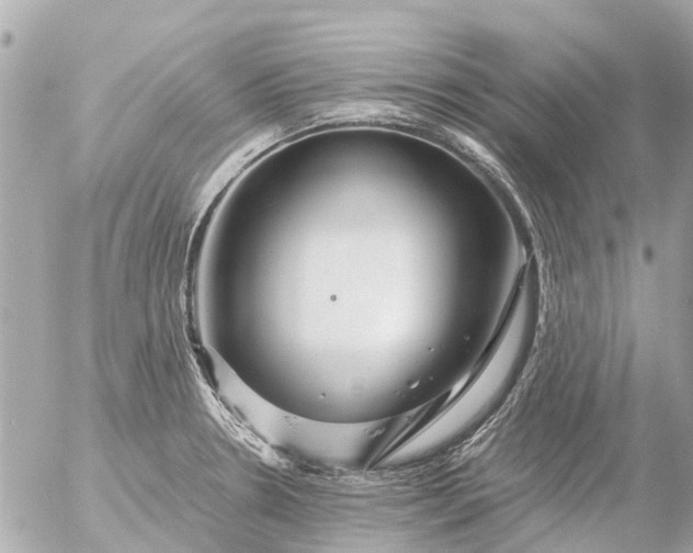 X0000056321330200509092253