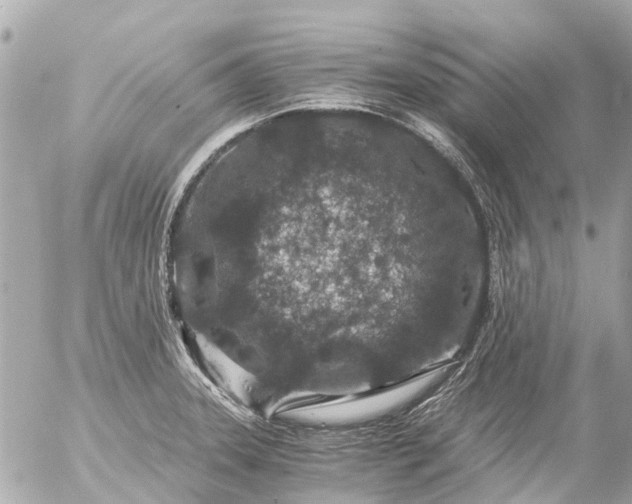 X0000056321331200509092253