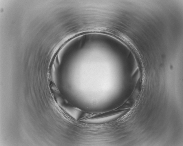 X0000056321332200509092253