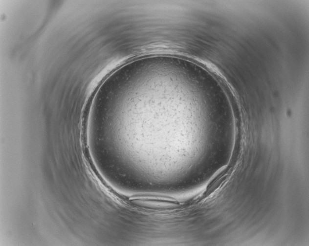 X0000056321333200509092253