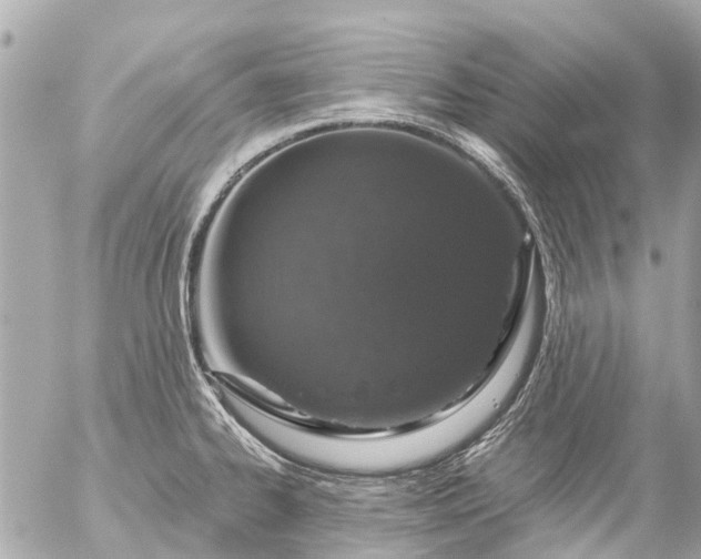 X0000056321334200509092253