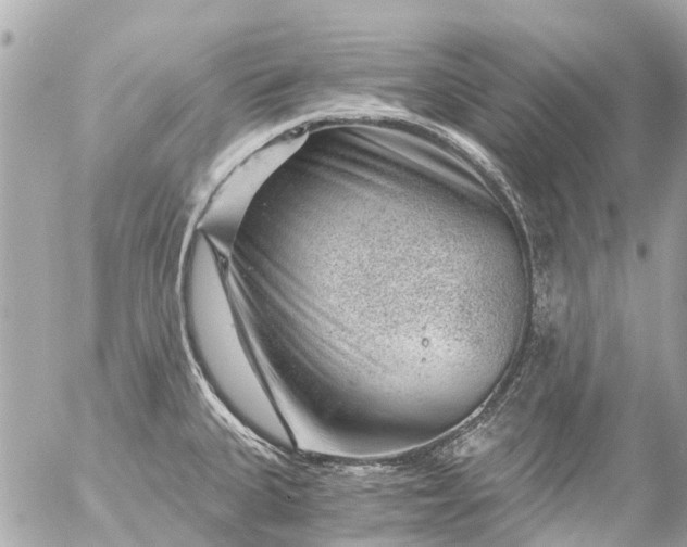 X0000056321335200509092253