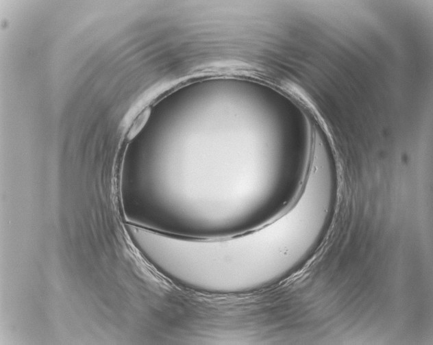 X0000056321336200509092253