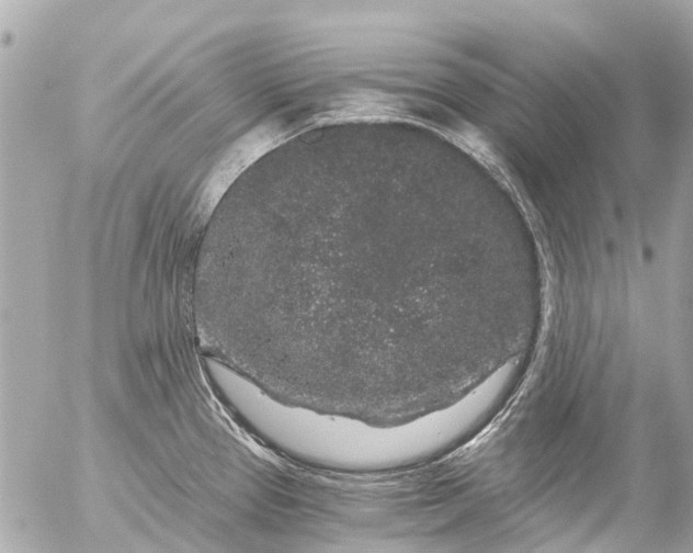 X0000056321337200509092253