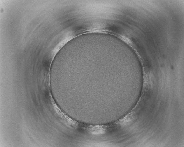 X0000056321338200509092253