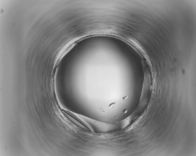 X0000056321340200509092253