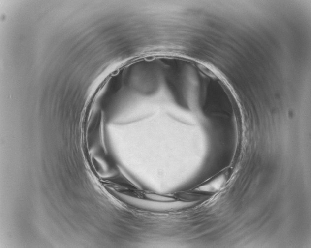 X0000056321341200509092253