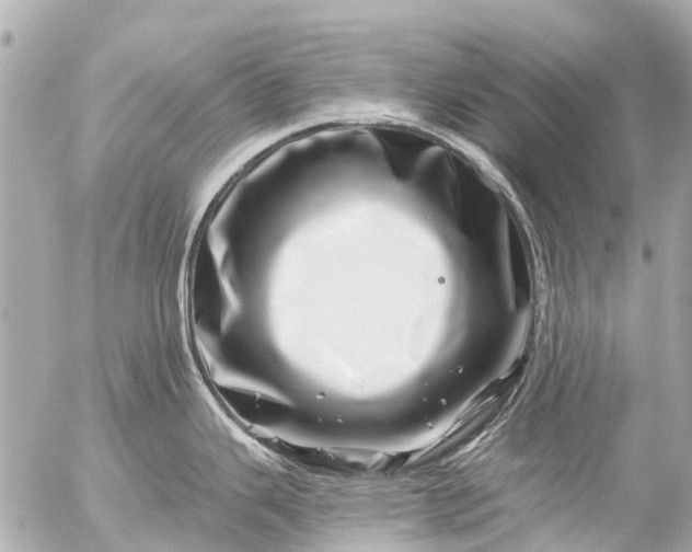 X0000056321343200509092253