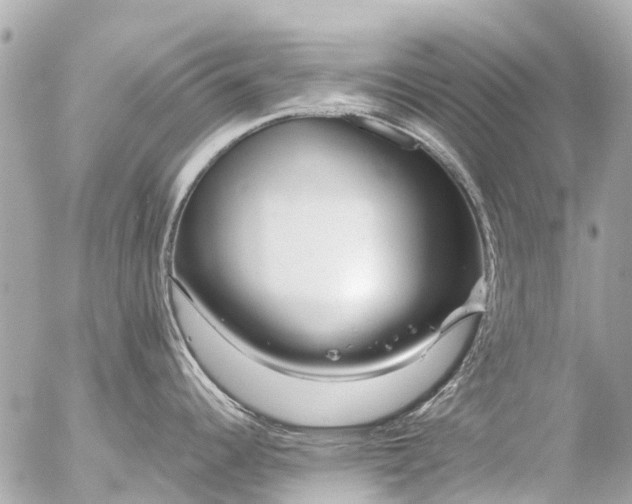 X0000056321344200509092253