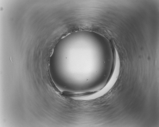 X0000056321345200509092252