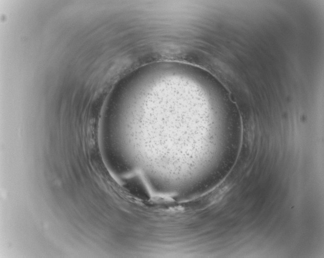 X0000056321346200509092252