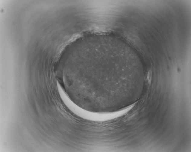 X0000056321348200509092252