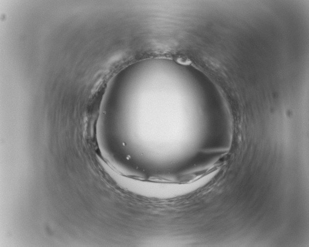 X0000056321349200509092252