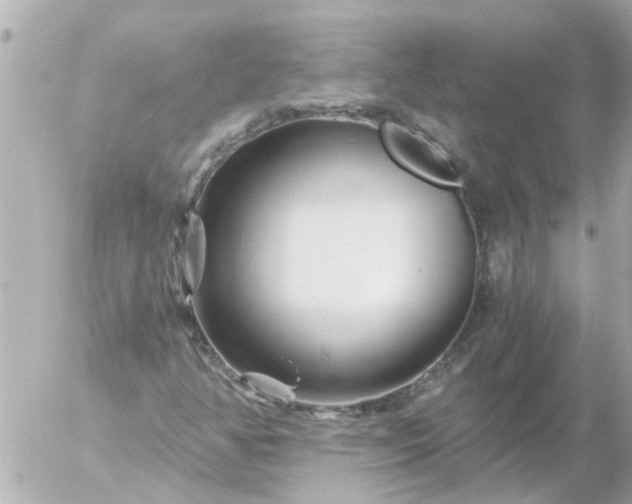 X0000056321350200509092252