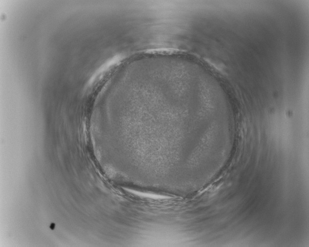 X0000056321351200509092252