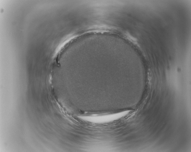 X0000056321352200509092252