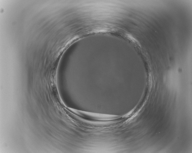 X0000056321353200509092252