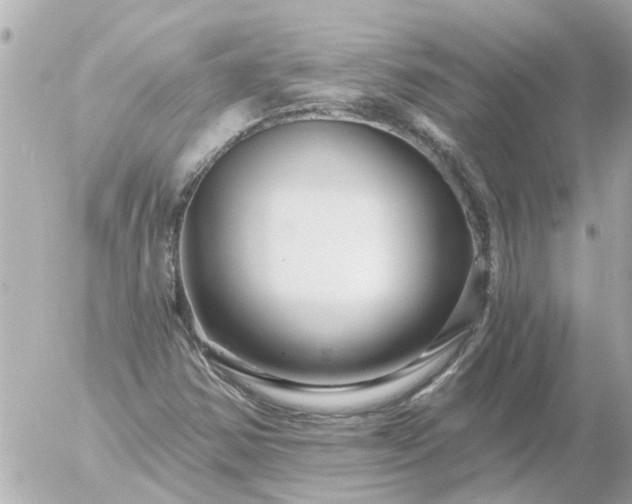 X0000056321354200509092252