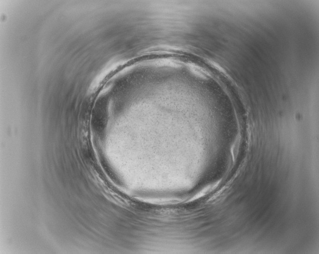 X0000056321355200509092252