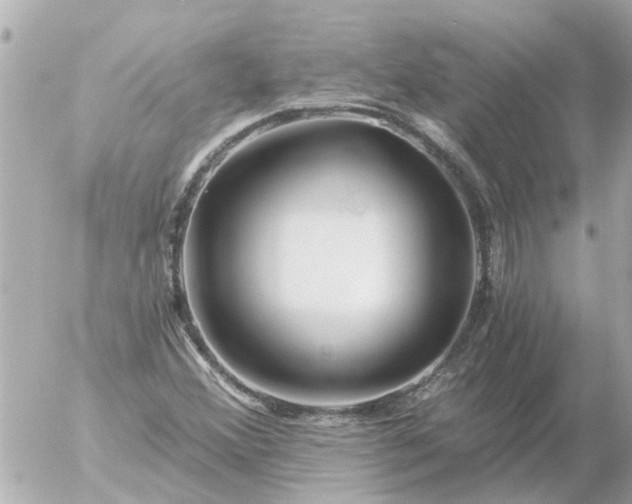 X0000056321356200509092252