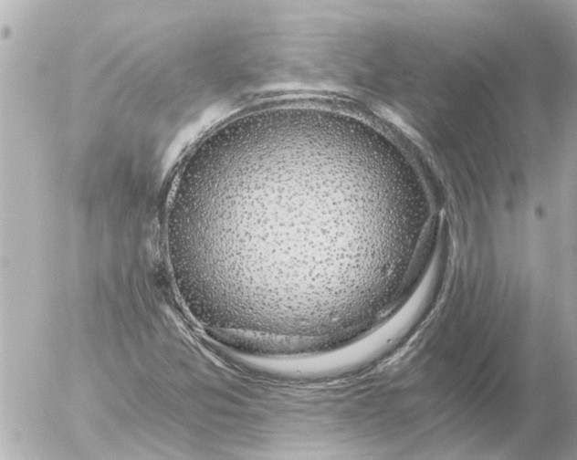 X0000056321357200509092252