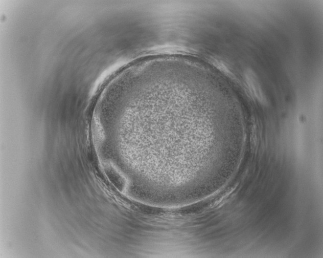 X0000056321358200509092252