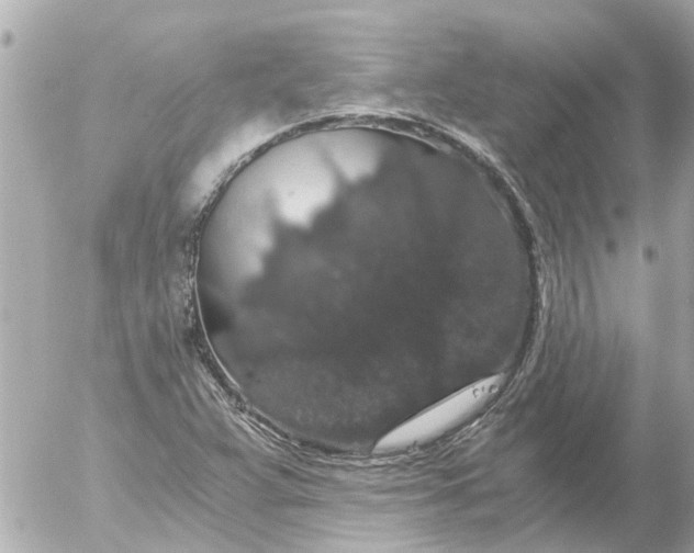 X0000056321359200509092252