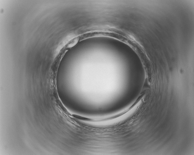 X0000056321360200509092252