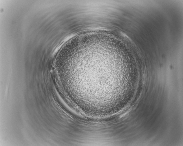 X0000056321361200509092252